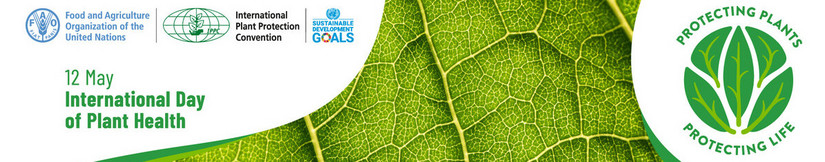 © FAO / IPPC