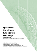 Titelblatt zum spezifischen Notfallplan - Kiefernfadenwurm